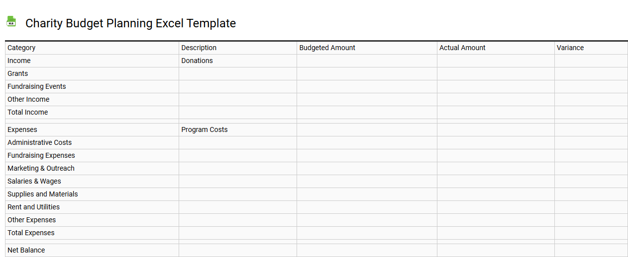 Charity budget planning Excel template