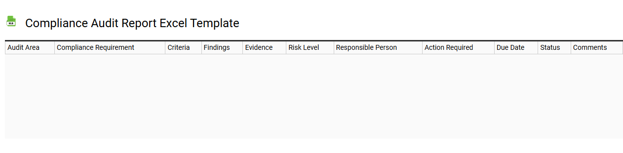 Compliance audit report Excel template