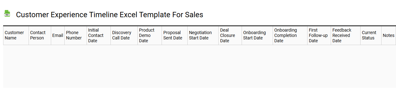Customer experience timeline Excel template for sales