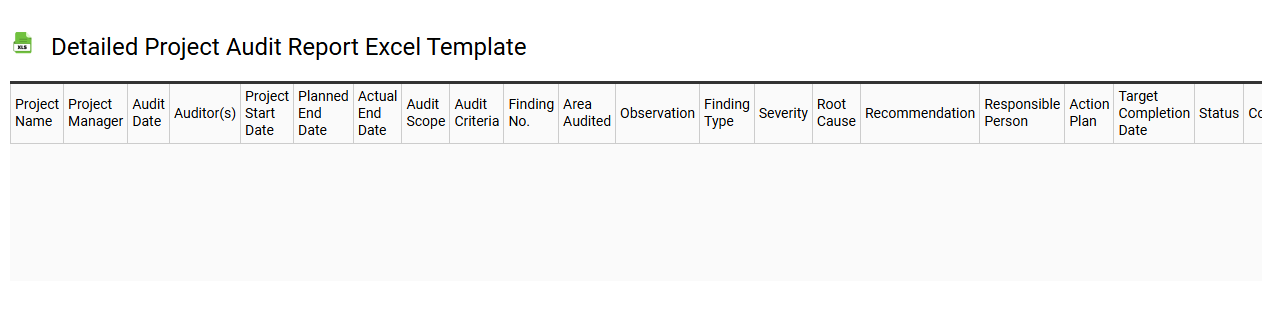 Detailed project audit report Excel template