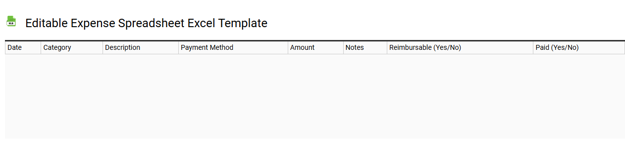 Editable expense spreadsheet Excel template