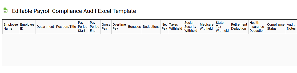 Editable payroll compliance audit Excel template