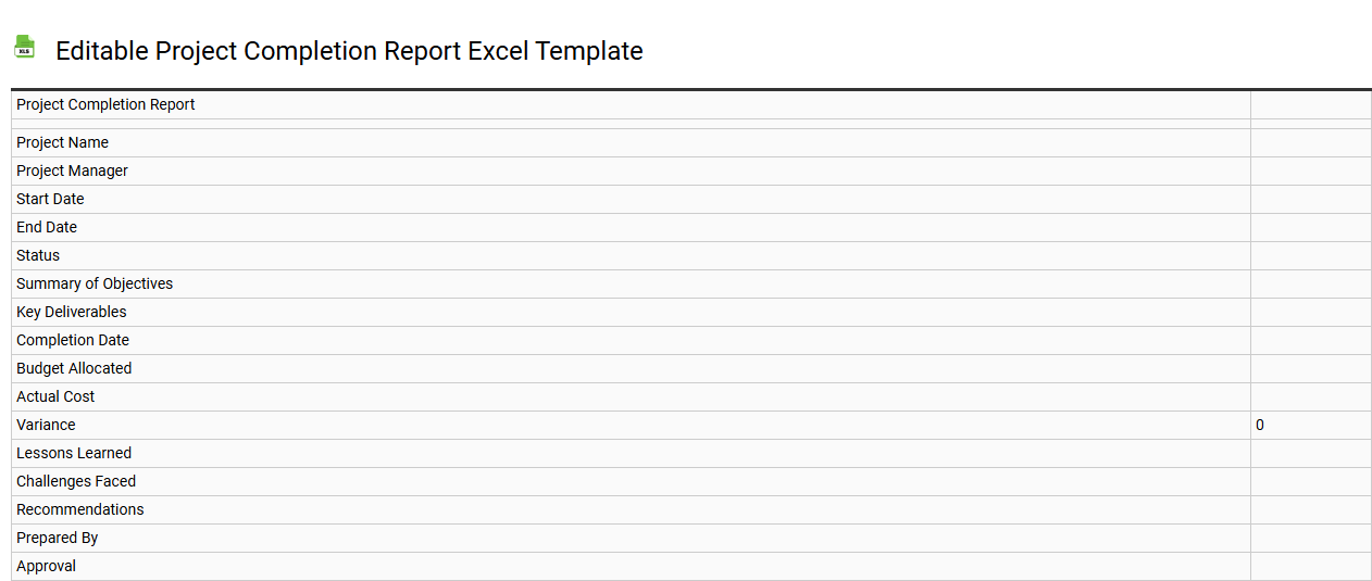 Editable project completion report Excel template