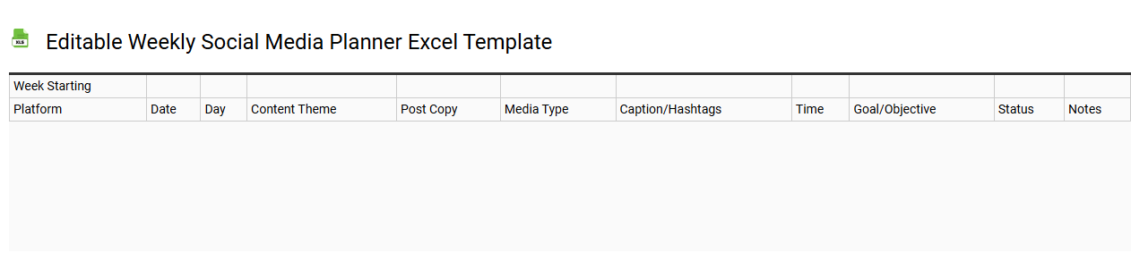 Editable weekly social media planner Excel template