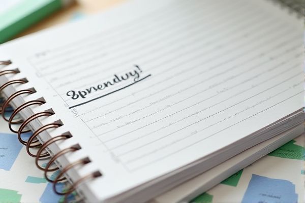 Grocery Spending Diary Excel Template for Easy Budget Tracking