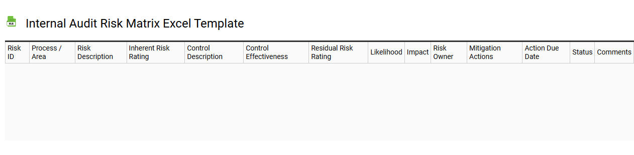 Internal audit risk matrix Excel template