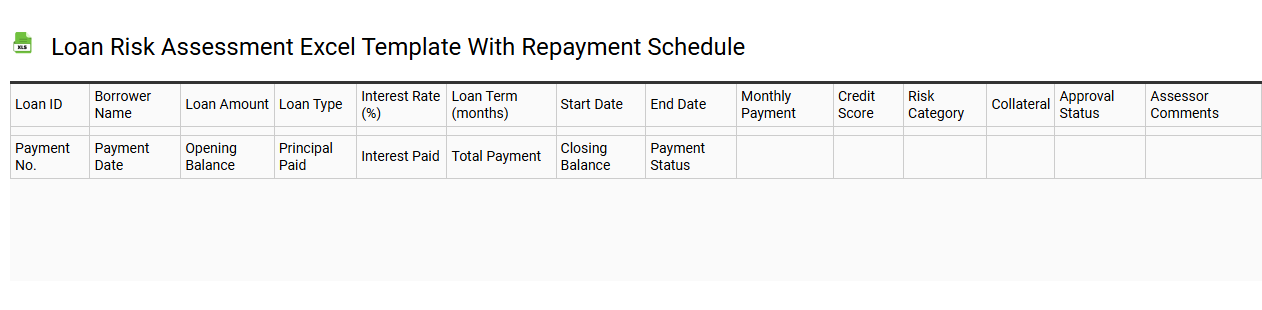 Loan risk assessment Excel template with repayment schedule