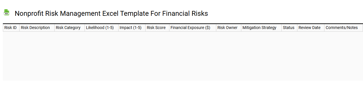 Nonprofit risk management Excel template for financial risks