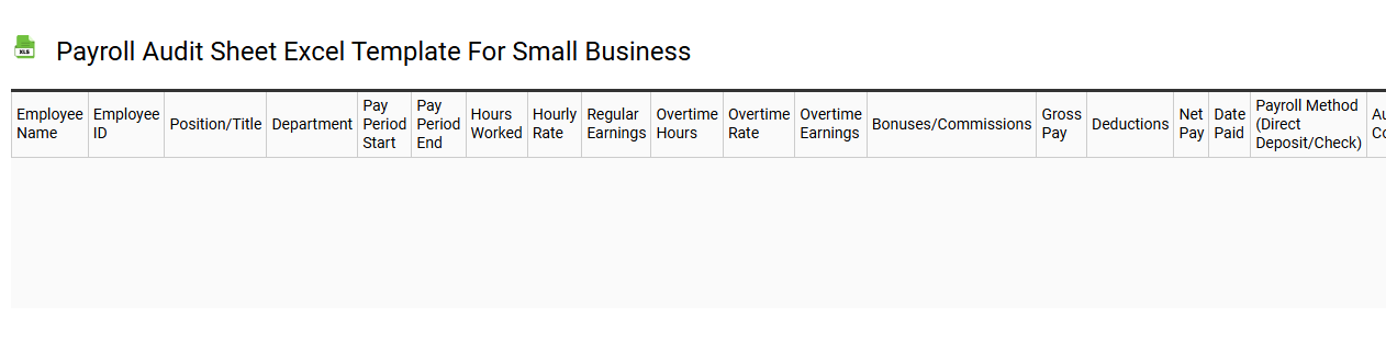 Payroll audit sheet Excel template for small business