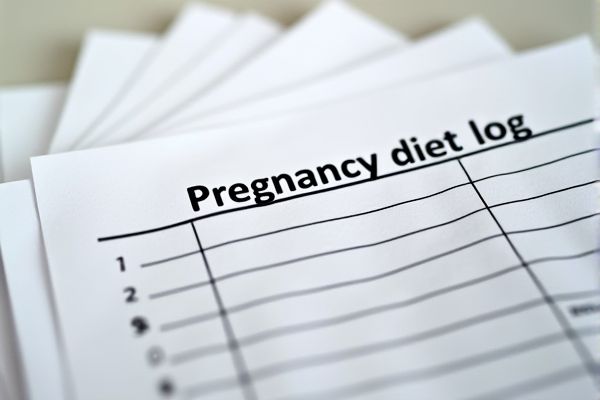 Pregnancy Diet Daily Log Excel Template: Track Your Nutrition Easily