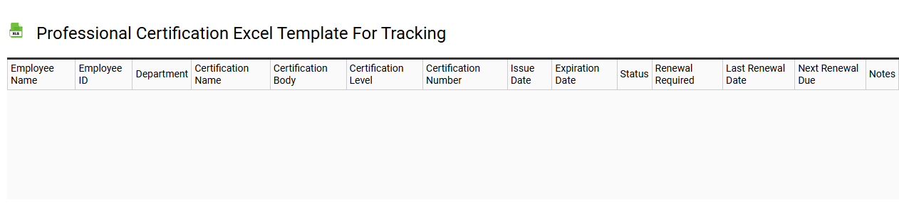 Professional certification Excel template for tracking