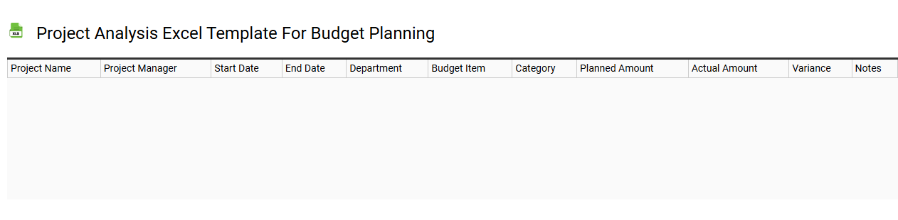 Project analysis Excel template for budget planning