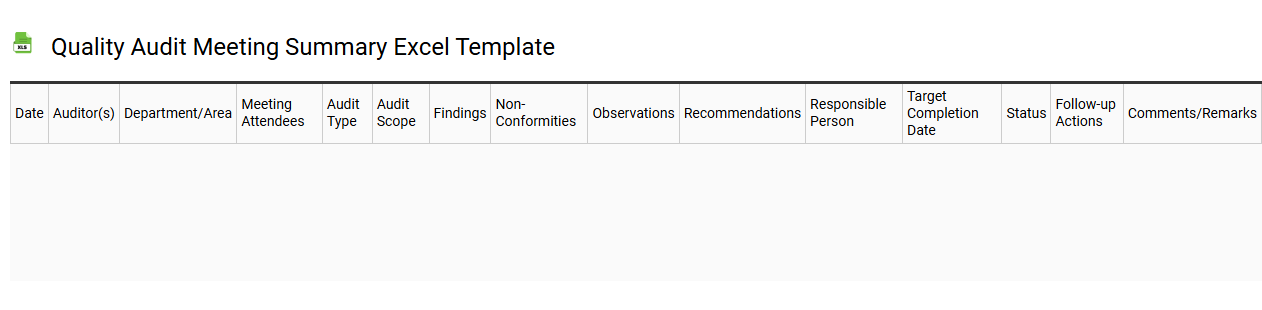 Quality audit meeting summary Excel template