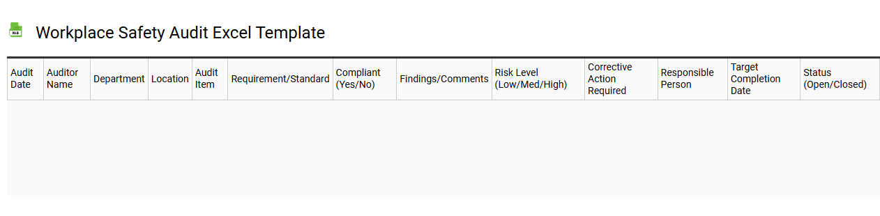 Workplace safety audit Excel template