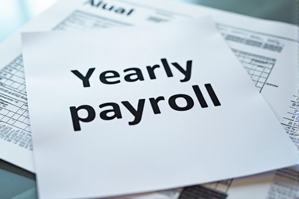 Yearly Payroll Excel Template for Efficient Employee Salary Management