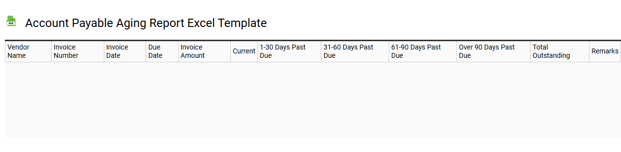 Account payable aging report Excel template