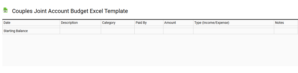 Couples joint account budget Excel template