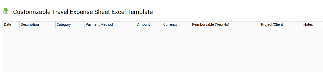 Customizable travel expense sheet Excel template