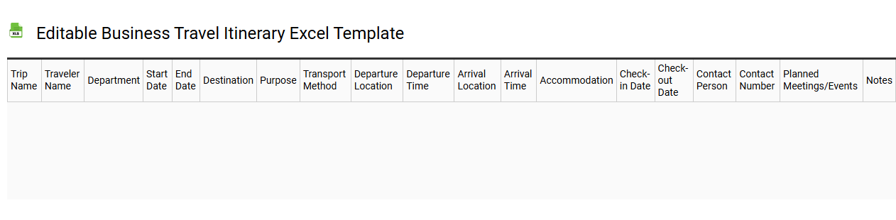 Editable business travel itinerary Excel template