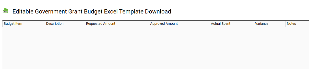 Editable government grant budget Excel template download