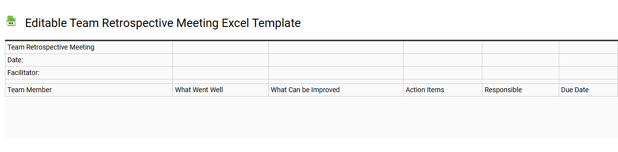 Editable team retrospective meeting Excel template