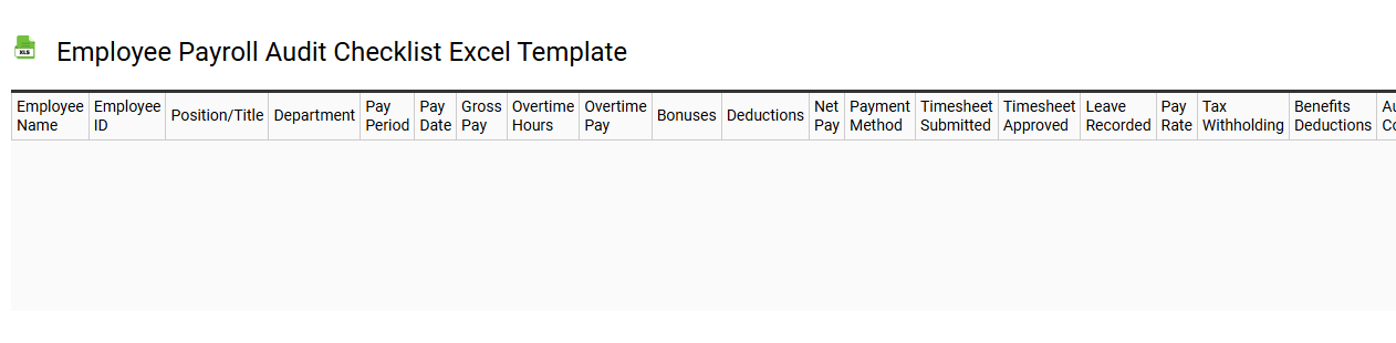 Employee payroll audit checklist Excel template