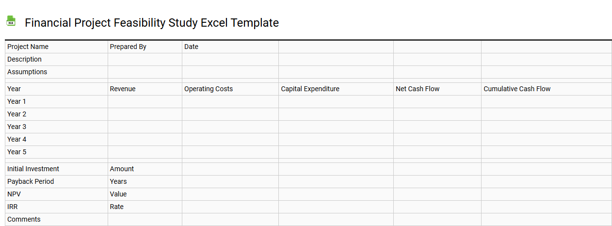 Financial project feasibility study Excel template