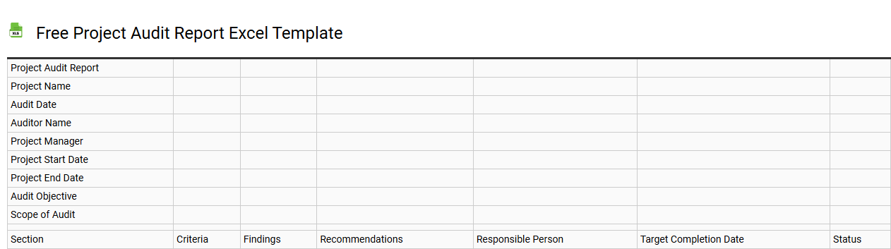 Free project audit report Excel template