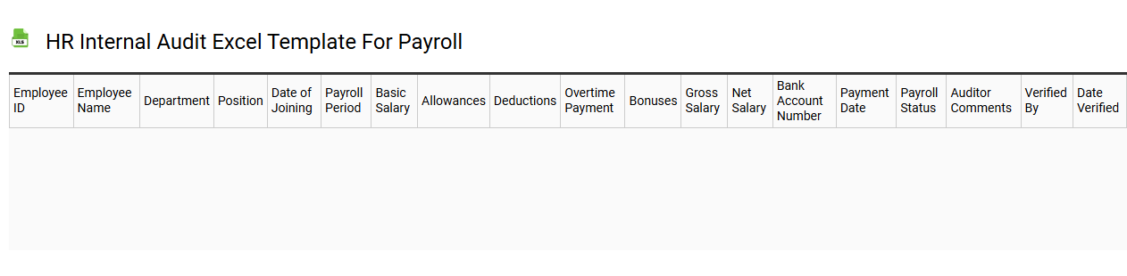 HR internal audit Excel template for payroll