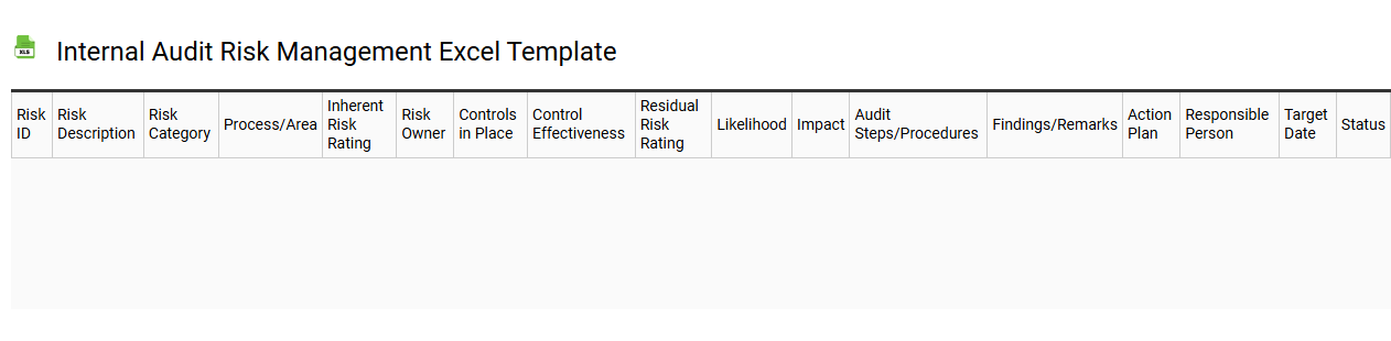 Internal audit risk management Excel template