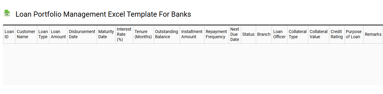 Loan portfolio management Excel template for banks