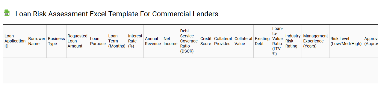 Loan risk assessment Excel template for commercial lenders