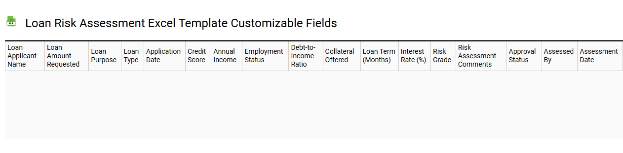 Loan risk assessment Excel template customizable fields