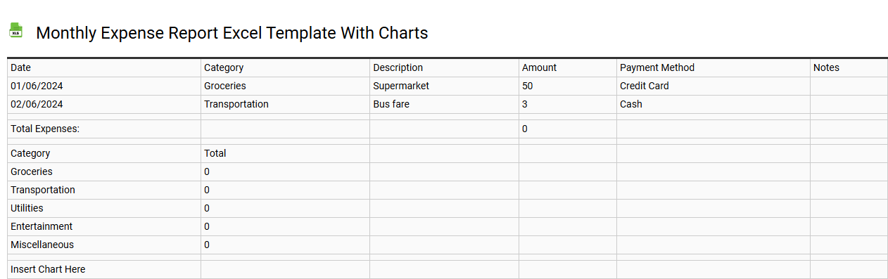 Monthly expense report Excel template with charts