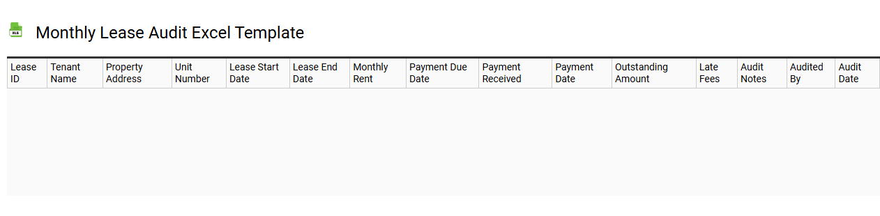 Monthly lease audit Excel template