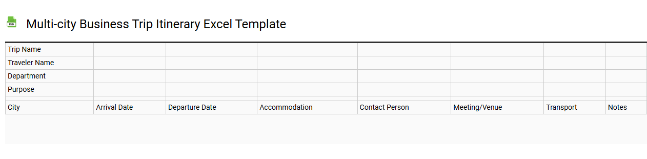 Multi-city business trip itinerary Excel template