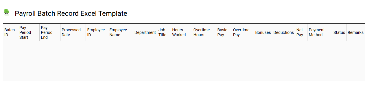 Payroll batch record Excel template