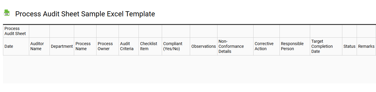 Process audit sheet sample Excel template