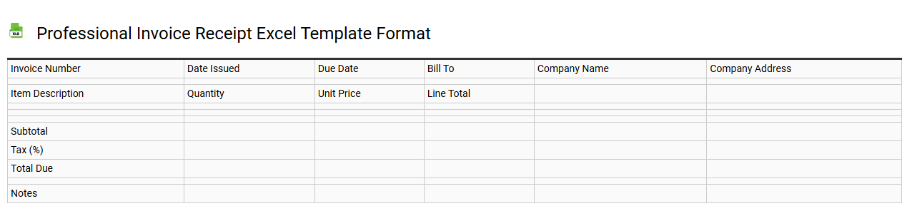 Professional invoice receipt Excel template format