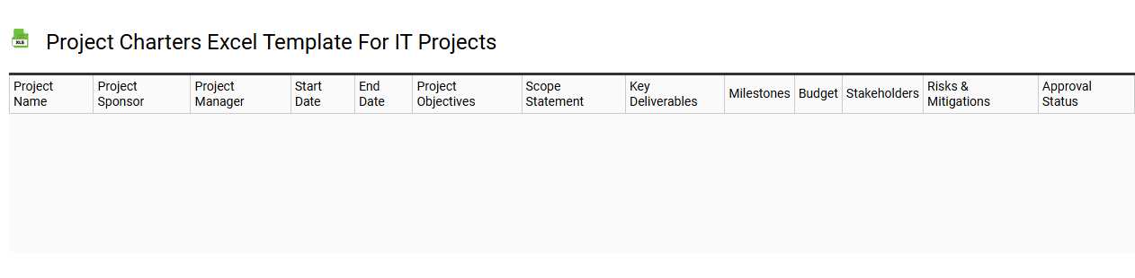 Project charters Excel template for IT projects