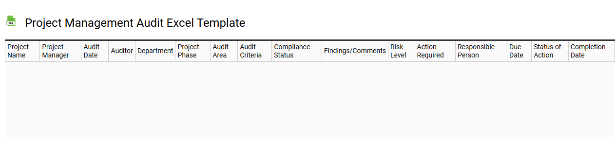 Project management audit Excel template