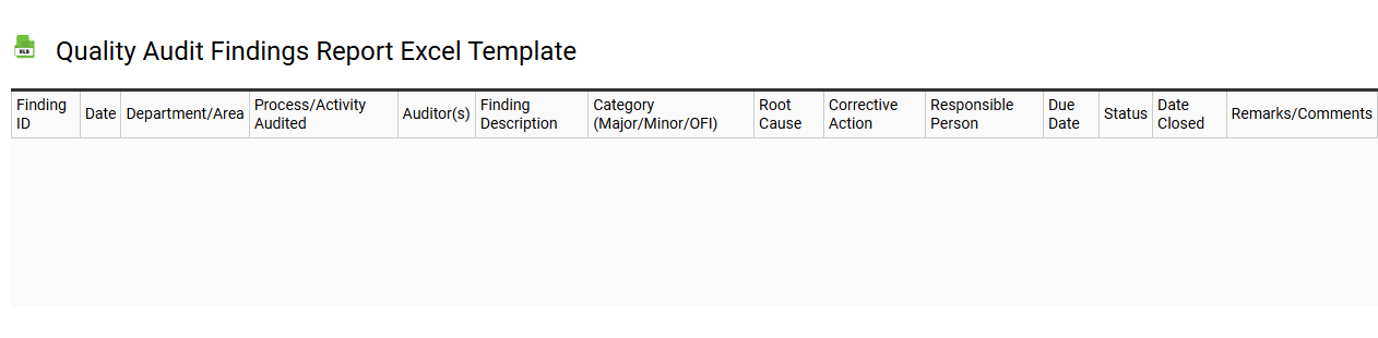 Quality audit findings report Excel template