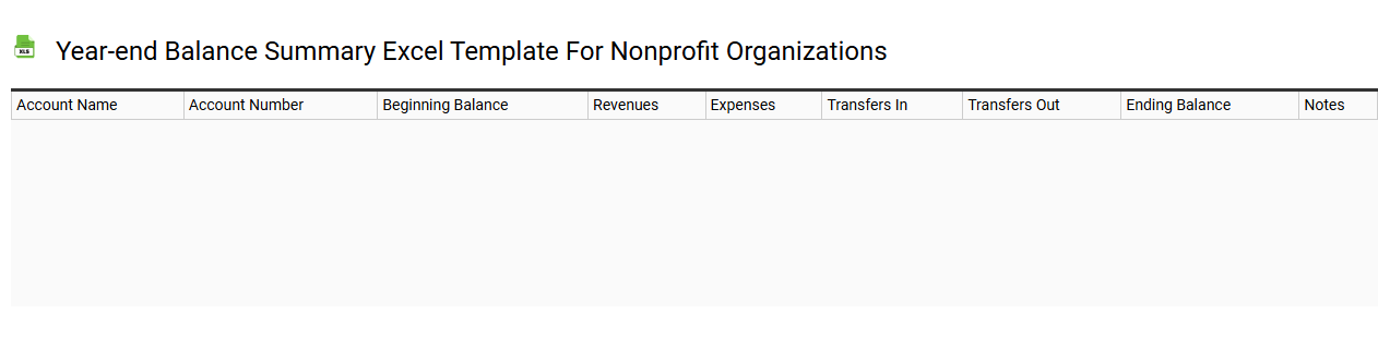 Year-end balance summary Excel template for nonprofit organizations