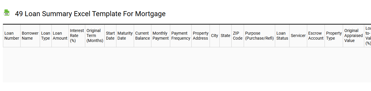 49 loan summary Excel template for mortgage