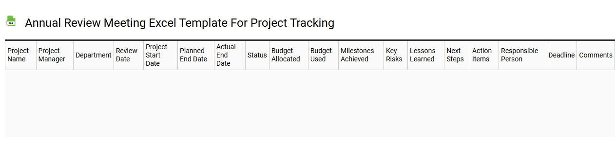 Annual review meeting Excel template for project tracking