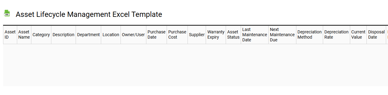 Asset lifecycle management Excel template