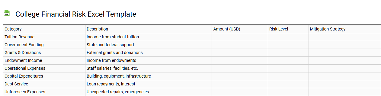 College financial risk Excel template