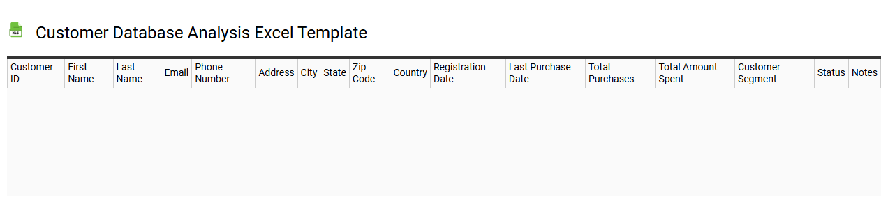 Customer database analysis Excel template