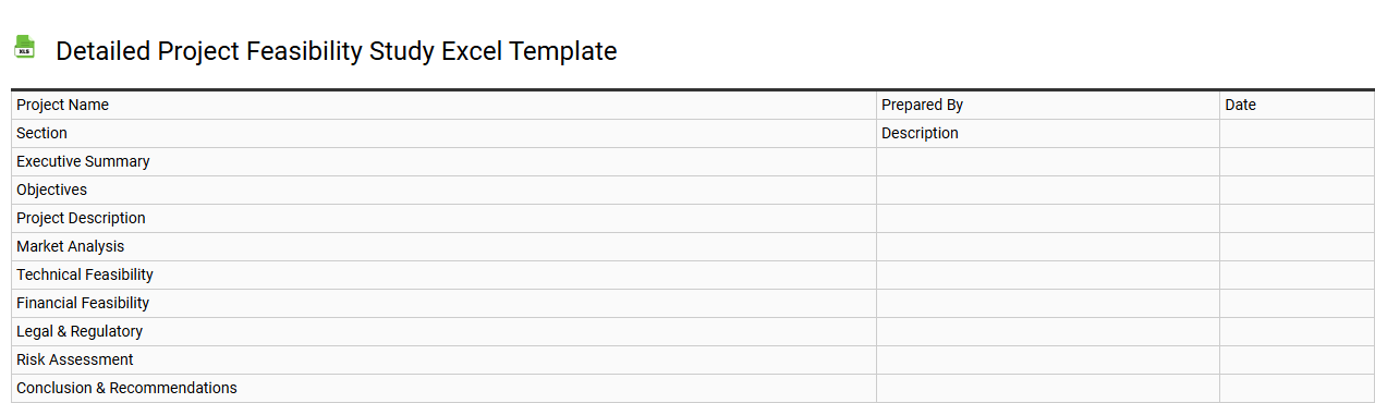 Detailed project feasibility study Excel template