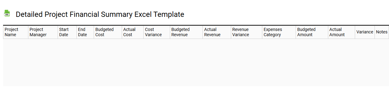 Detailed project financial summary Excel template